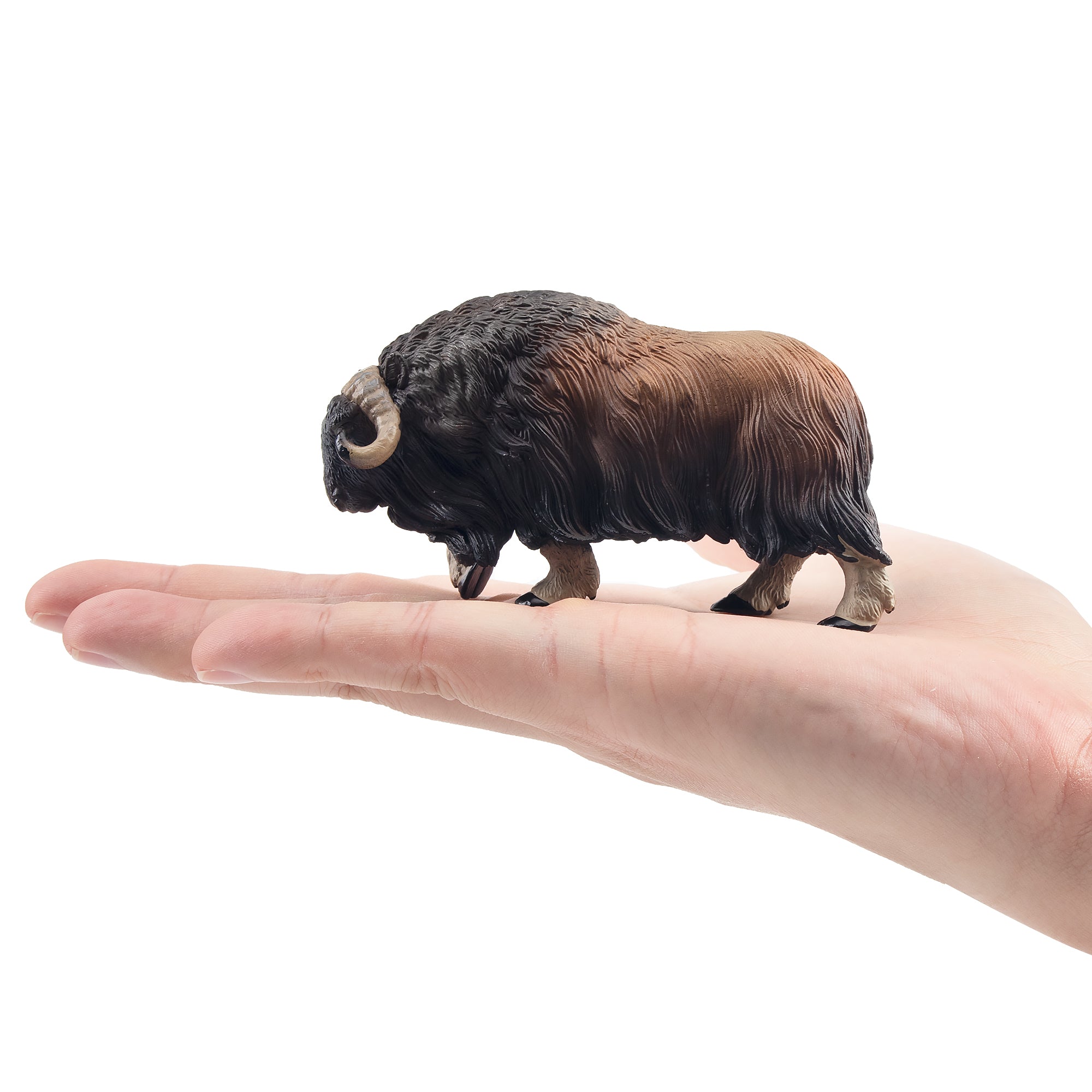 Toymany big Musk Ox Figurine Toy-on hand